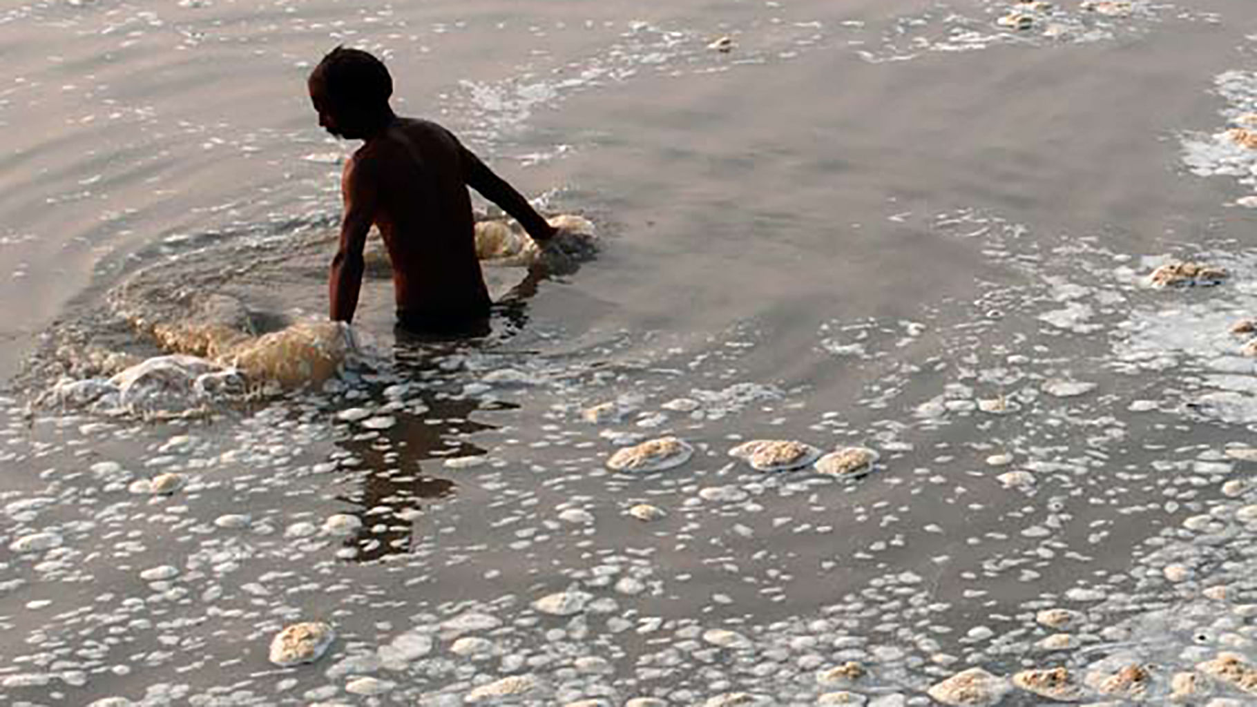

A man wading through waters of the polluted Ganga. (Photo: PTI)