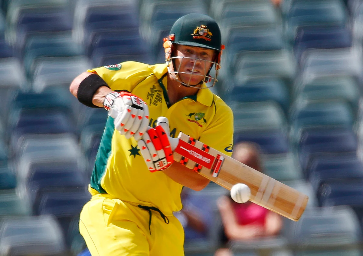 David Warner. (Photo: Reuters)