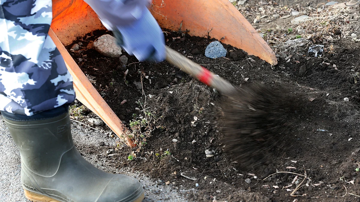 A worker removes the contaminated topsoil it a private house’s garden in Minamisoma, Fukushima. (Photo: AP)