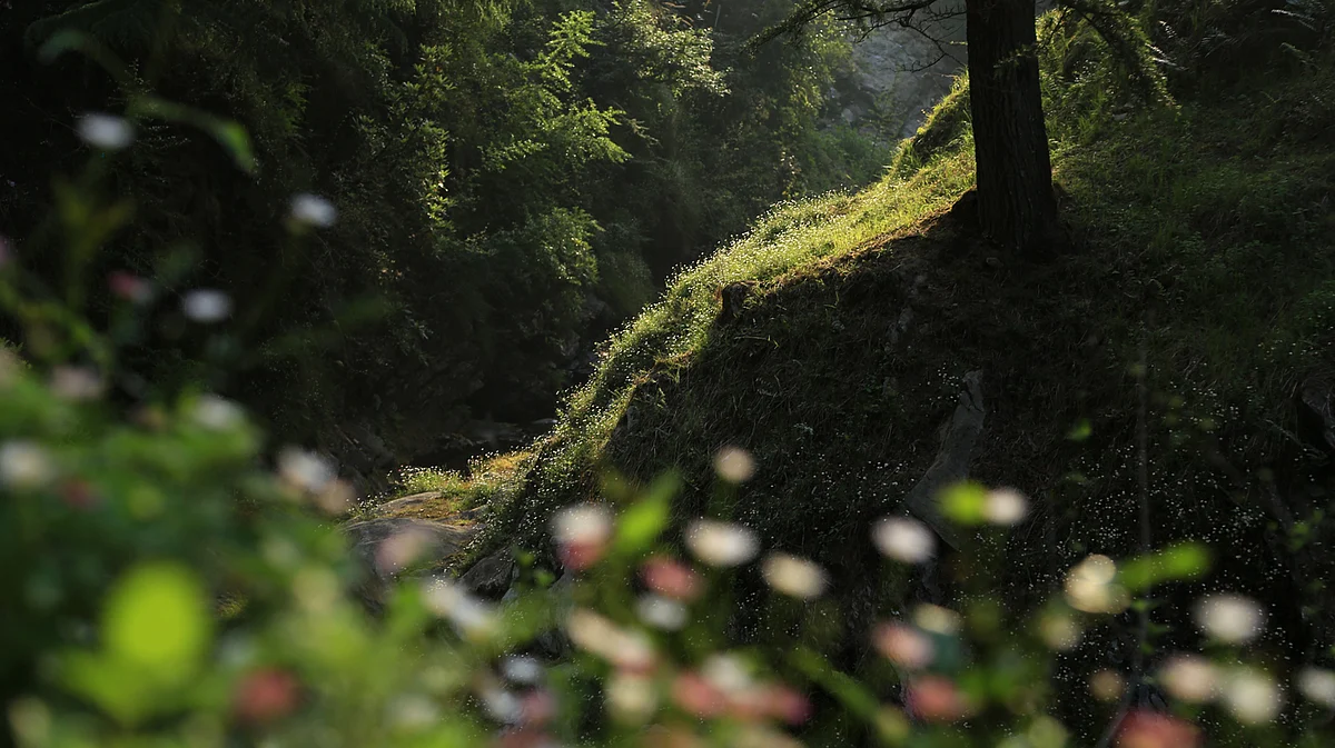 (Photo Courtesy: Nitin Das)
