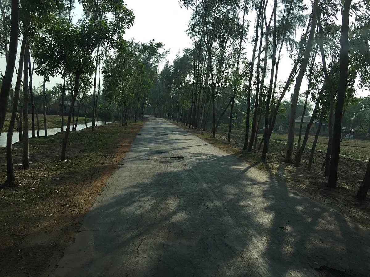 Paved roads mean that Nandigram is now easily accessible. (Photo: <b>The Quint</b>/Abhirup Dam)