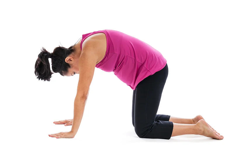 Make sure that the knees are not below the pelvic – but behind it – during cat and dog poses. (Photo: iStock)