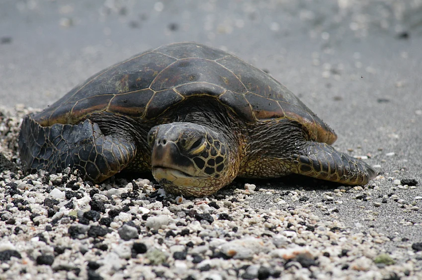 (Photo: iStockphoto)