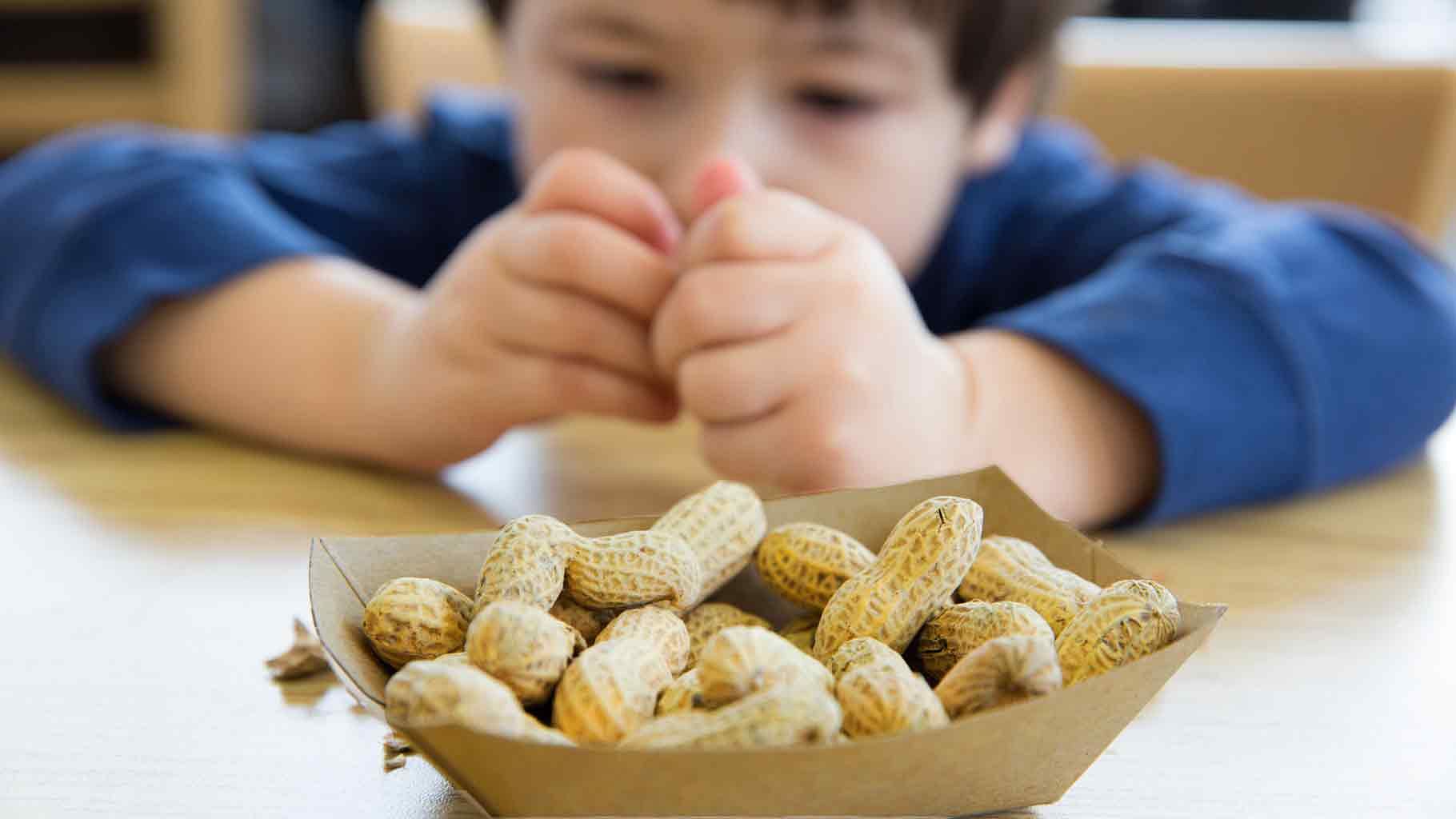 Research found that feeding peanuts to young children as little as three-months-old brings down their risk of developing peanut allergies (Photo: iStock)