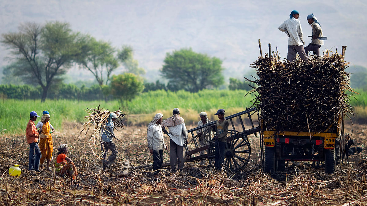 Far from guaranteeing employment, the rural development ministry told states to curtail work under MGNREGA.