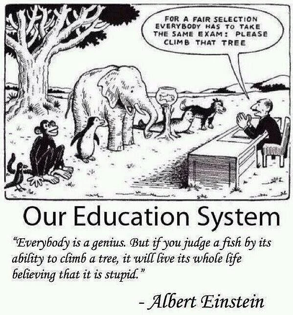 The flaws in our education system. (Photo: Twitter/<a href="https://twitter.com/WAKEUPPEOPL3">Open Your Mind</a>)