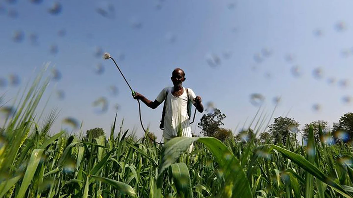 A farmer works on his crop. 