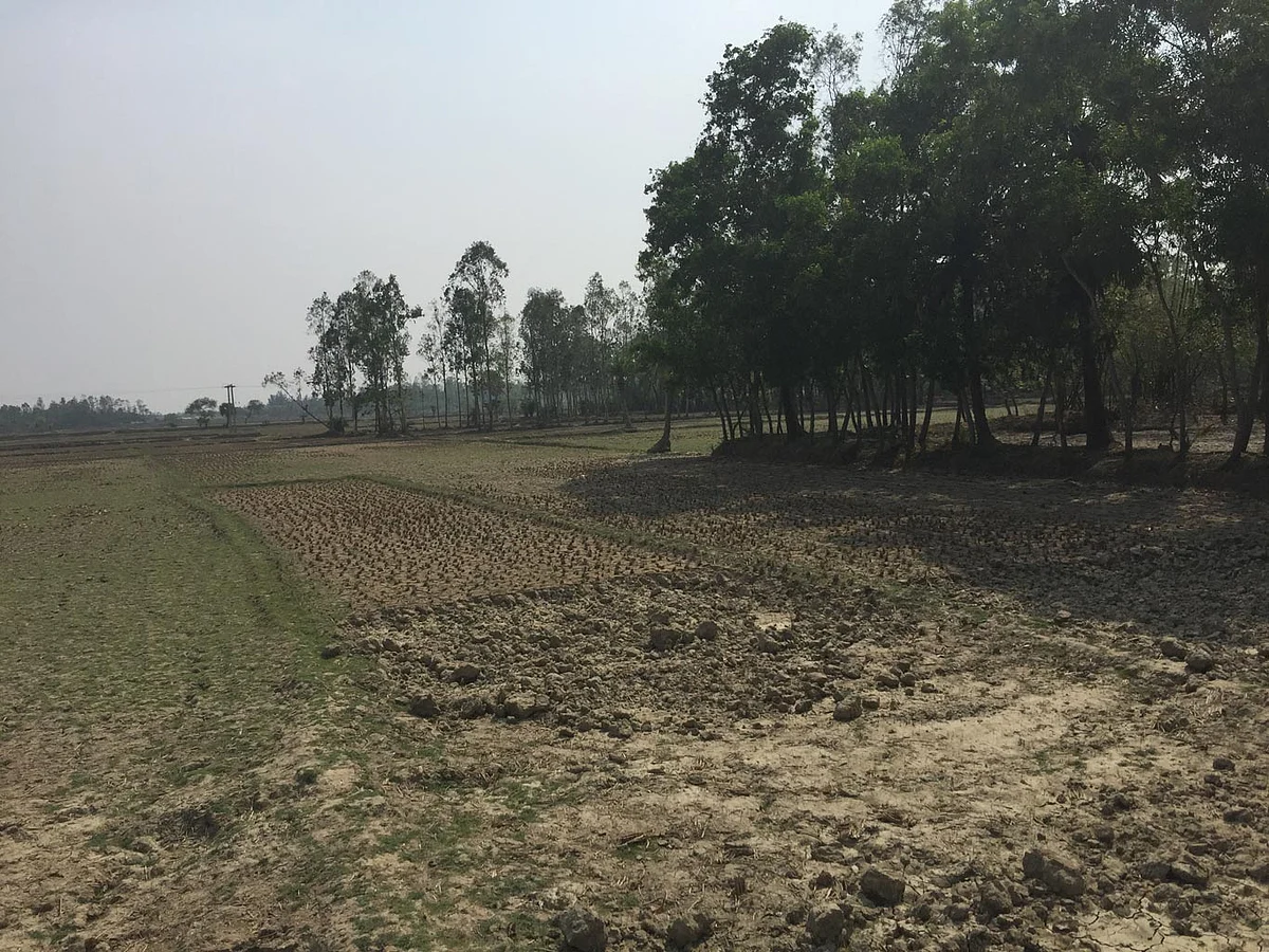 “Farming in itself is not profitable anymore”, says a Nandigram local. (Photo: <b>The Quint</b>/Abhirup Dam)