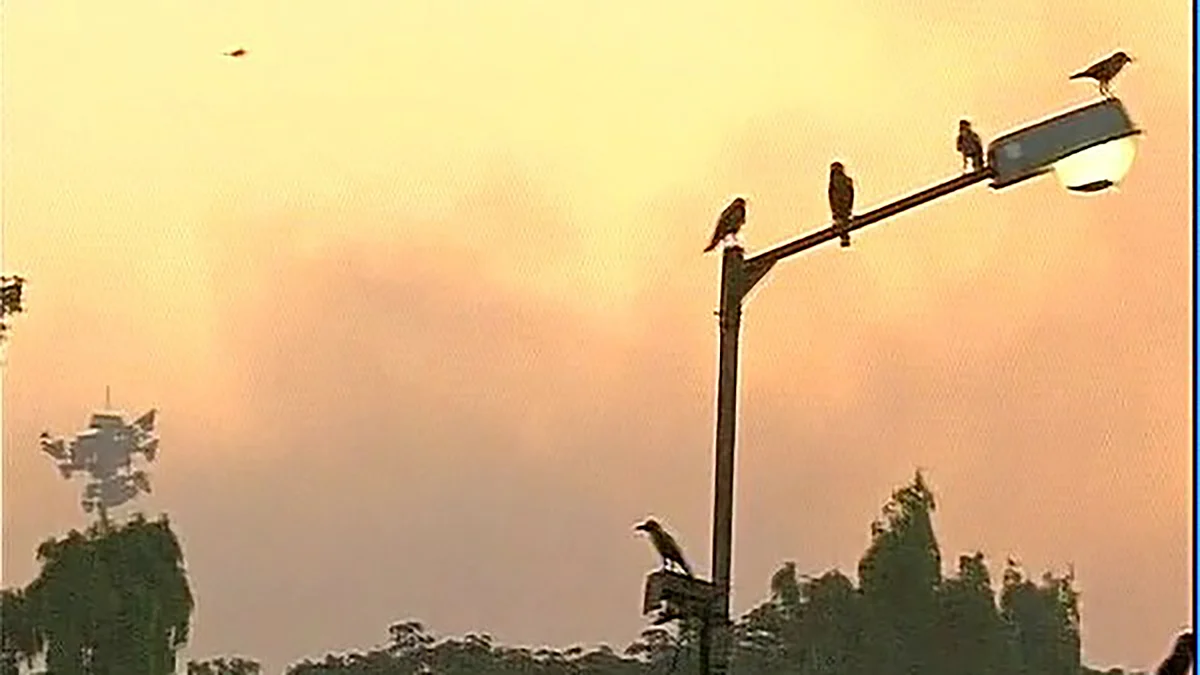Air filled with smoke in Deonar. (Photo: ANI)