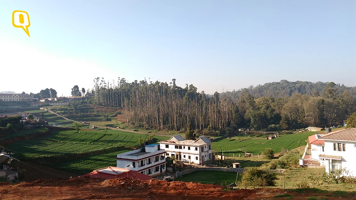 A photograph shot on Lenovo K5 Plus. (Photo: <b>The Quint</b>)