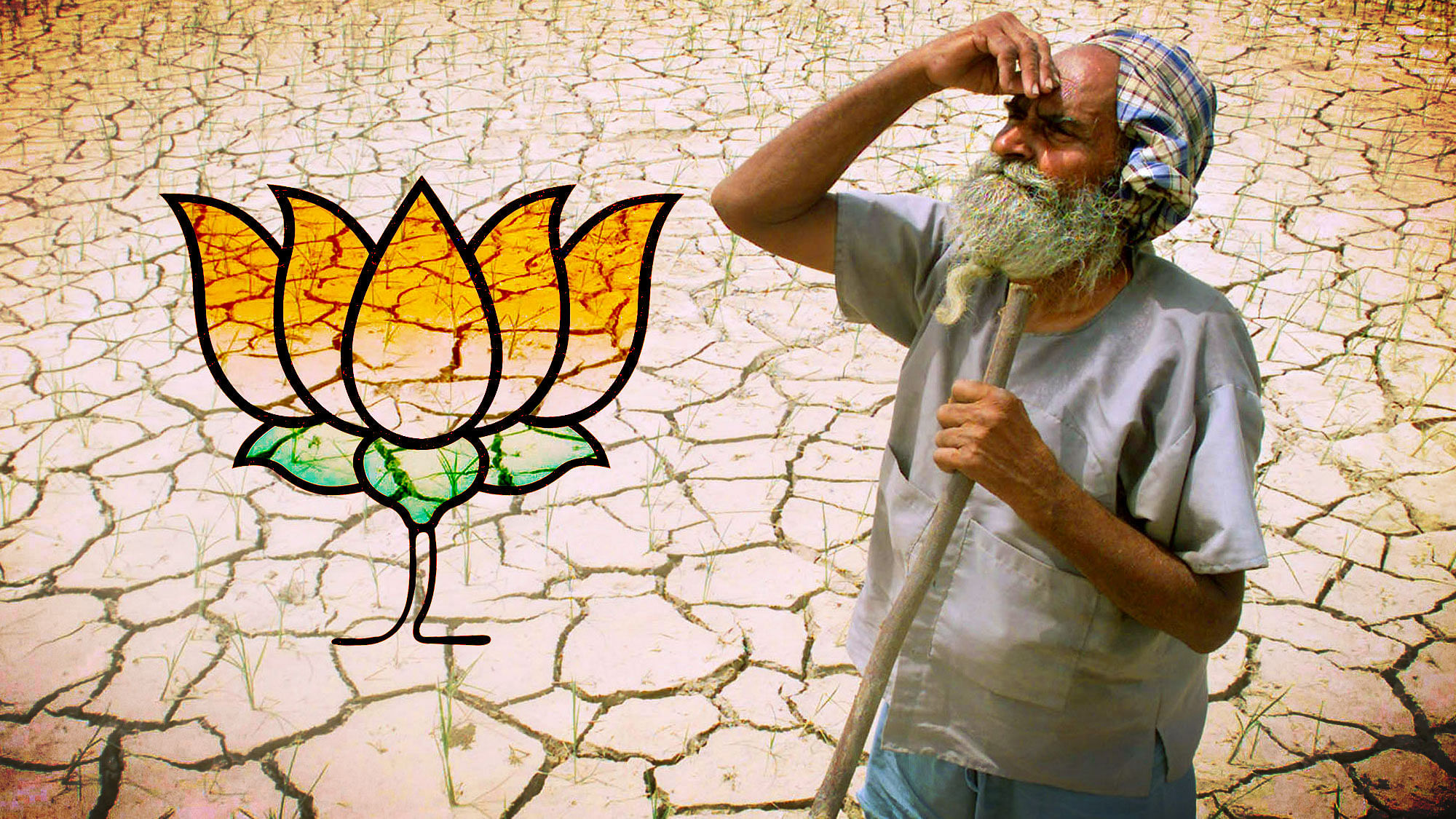 BJP is trying to bring the poor, the rich and the middle class under the ambit of a rainbow coalition – will it work? (Photo: Reuters/ Altered by <b>The Quint</b>)