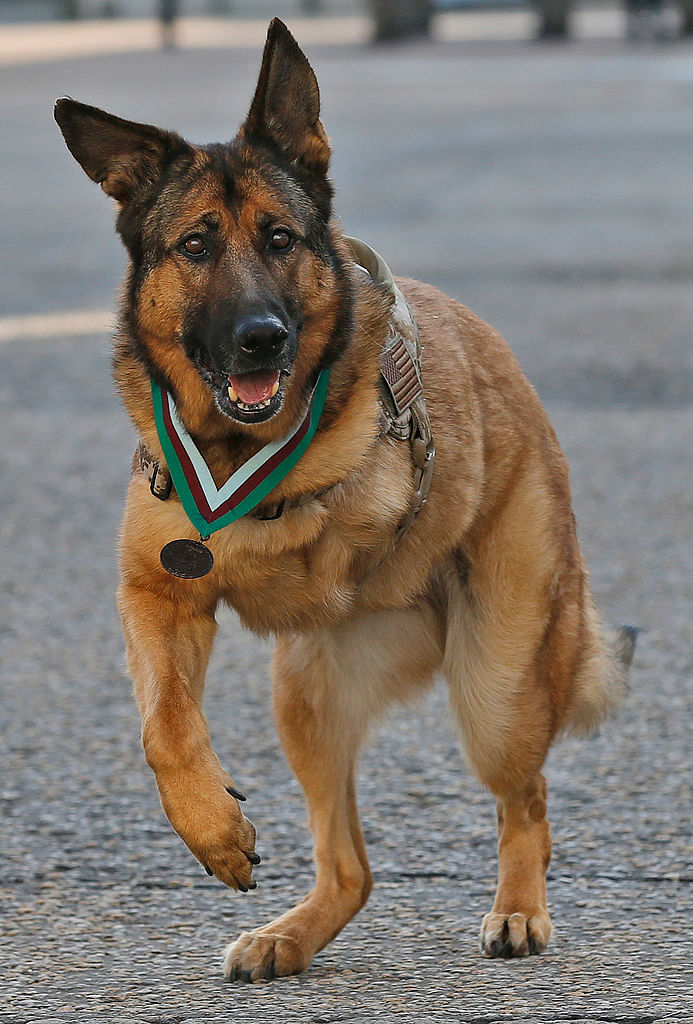 

Lucca, a 12-year-old German Shepherd, is the first US Marine Corps dog to receive the honor.