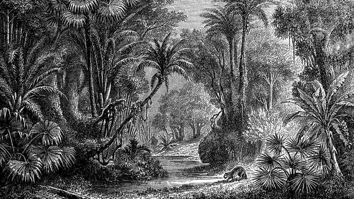 Rudyard Kipling’s <i>Kim</i> has long baffled his critics. 