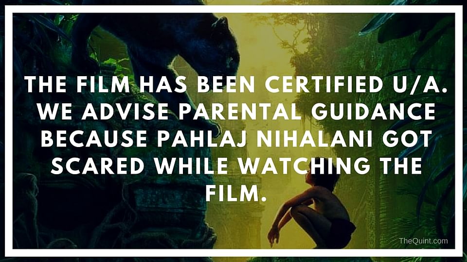 Falling in love needs a disclaimer too in Bollywood. 