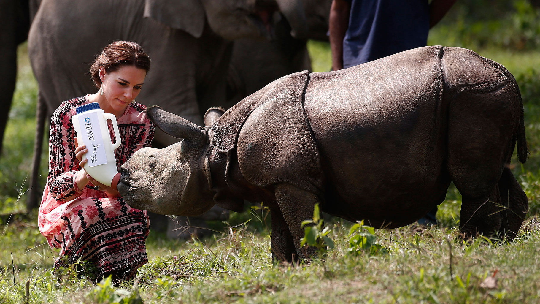 Britain’s Kate, Duchess of Cambridge, feeds a baby rhino at the Centre for Wildlife Rehabilitation and Conservation (CWRC), at Panbari reserve forest in Kaziranga. (Photo: AP)