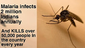 World Malaria Day: Nearly 2,500 Kids Become Victims Every Day!