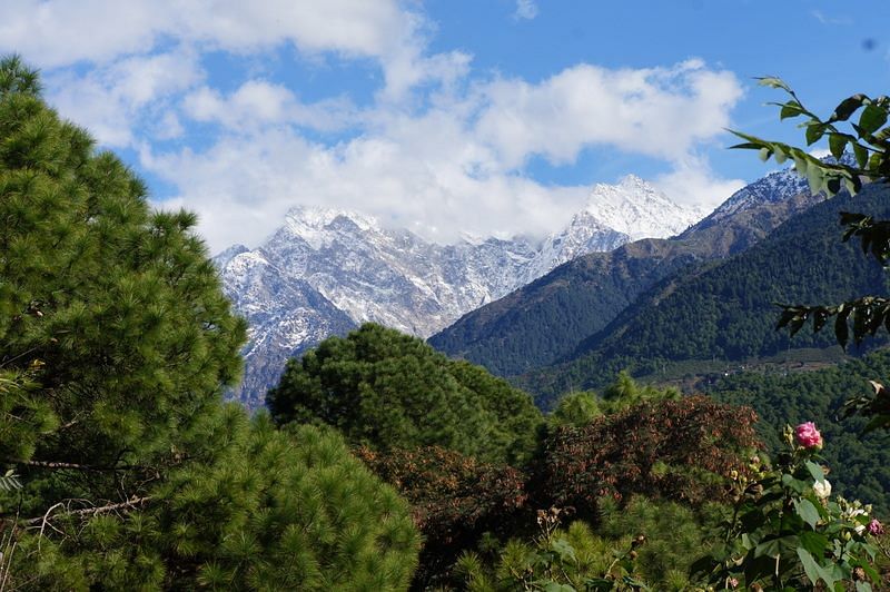 Palampur: The abode of pastoral hues, tea gardens and the much longed-for serenity.