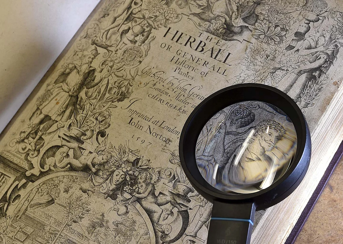 An image of playwright William Shakespeare from a first edition of “The Herball” at an office in London, Britain 19 May 2015. (Photo: Reuters)