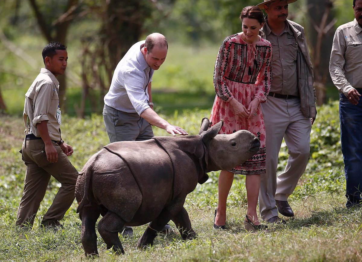 Britain’s Prince William touches a baby rhino as his wife Kate, the Duchess of Cambridge watches at the Centre for Wildlife Rehabilitation and Conservation (CWRC), at Panbari reserve forest in Kaziranga. (Photo: AP)