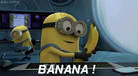 (GIF Courtesy: giphy.com)