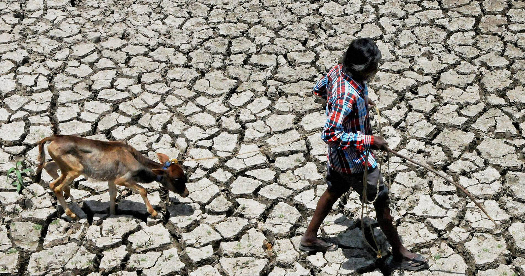 Explained: 50 Years From Now, What Will Be Impact of Climate Change on India?