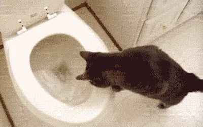 (GIF Courtesy: <a href="http://theideaking.blogspot.in/2014/04/21-things-youre-doing-wrong-in-bathroom.html">theideaking.blogspot.in</a>)