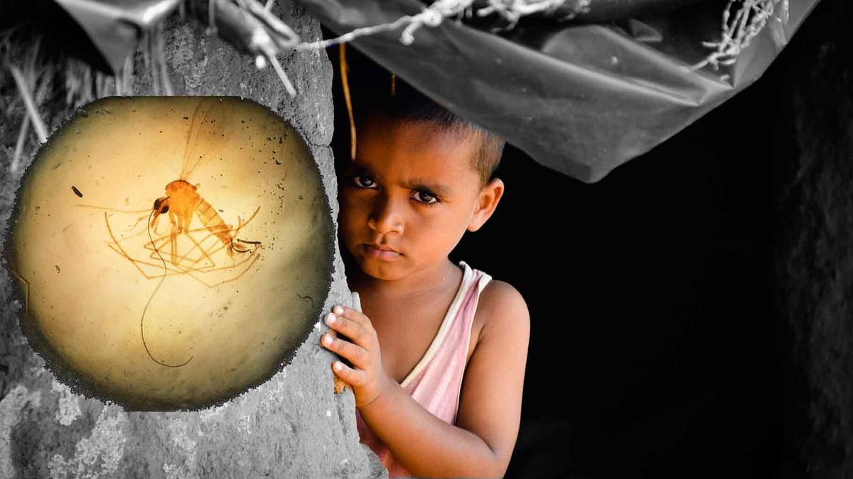 World Malaria Day: Nearly 2,500 Kids Become Victims Every Day!