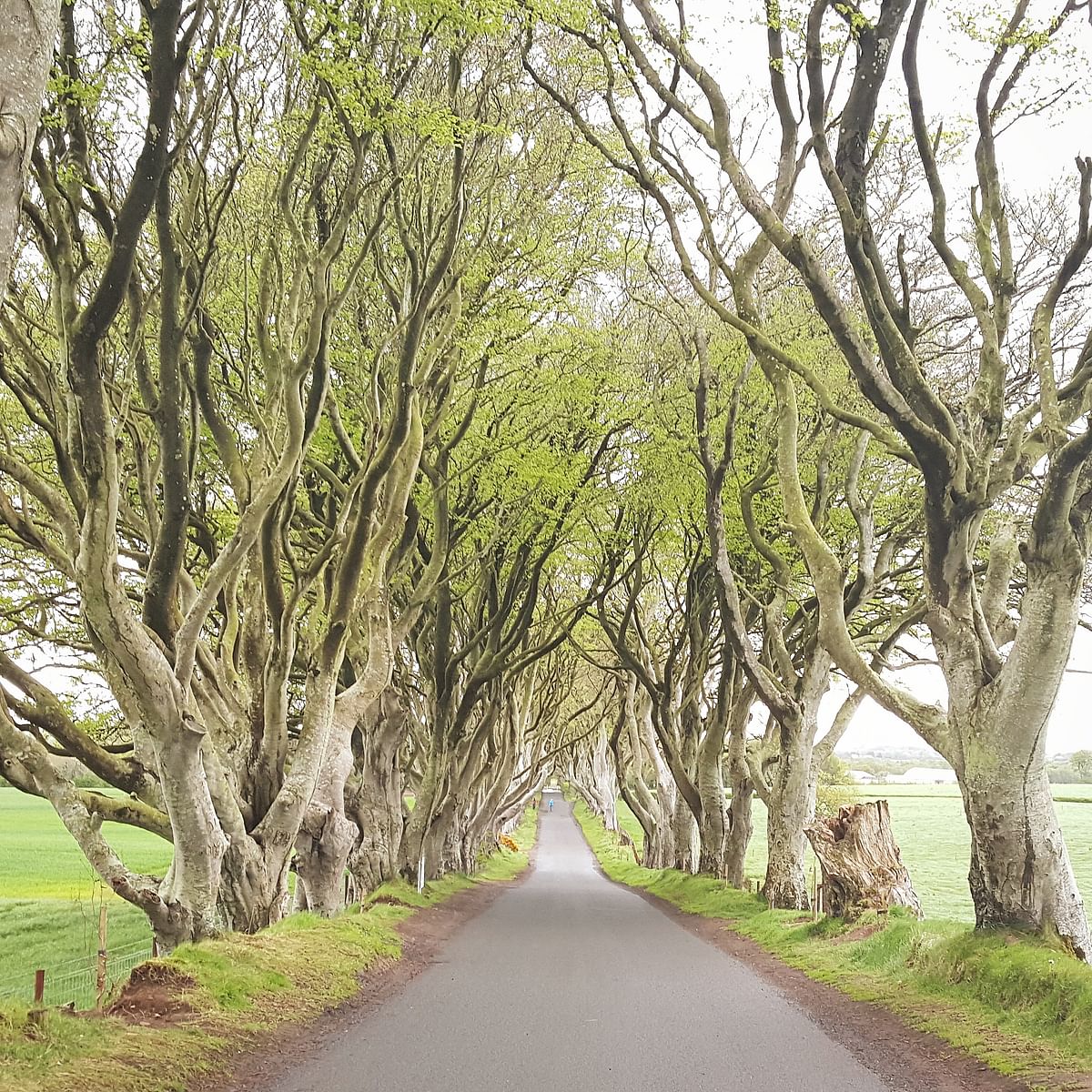 Game of Thrones, the iconic TV show, has ensured the beautiful coast of Northern Island is a tourist destination.