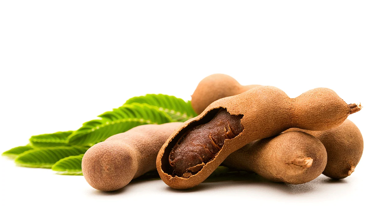 The name means <i>Indian Date</i>. True to the name, a date with India isn’t complete without tasting the tamarind! (Photo: iStockphoto)