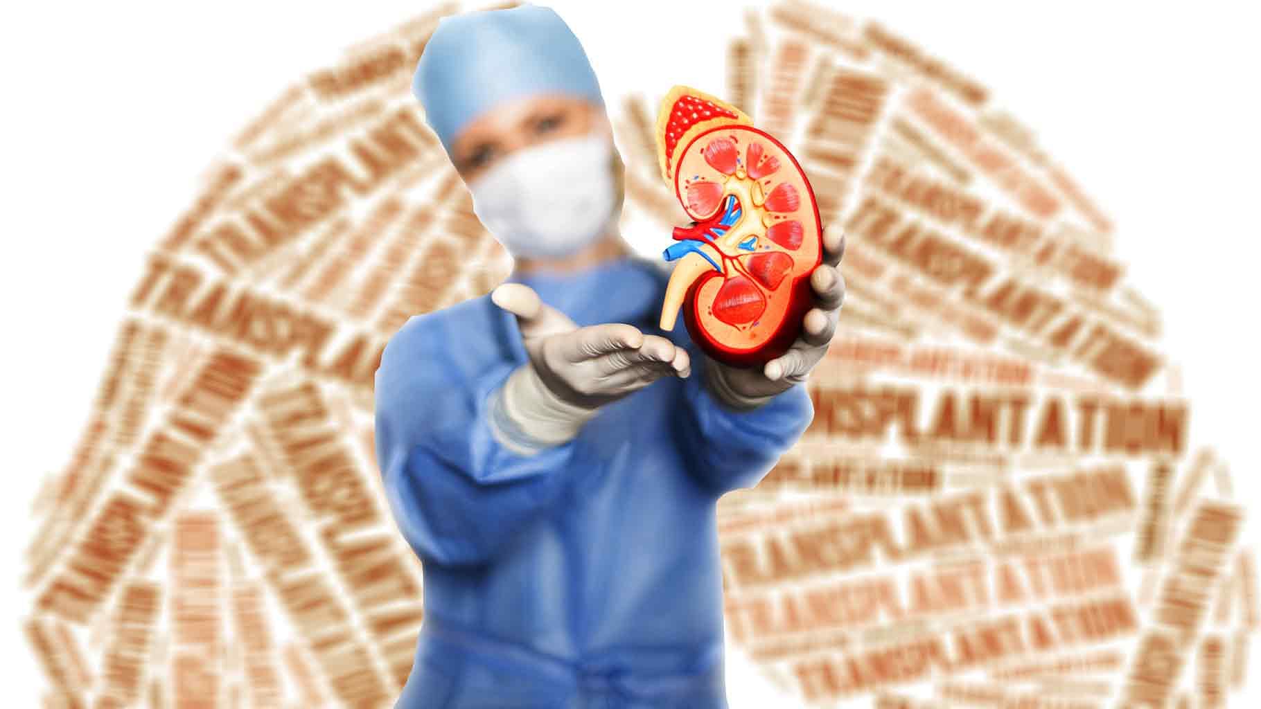  1 in 5000 patients in India on the waitlist actually gets an organ. The sad part is that around only 1 to 2% of Indians donate their organs in comparison to nearly 80% in the West - to streamline this acute  gap, the Health Ministry has come up with new kidney donation guidelines Photo: iStock altered by <i>The Quint</i>)