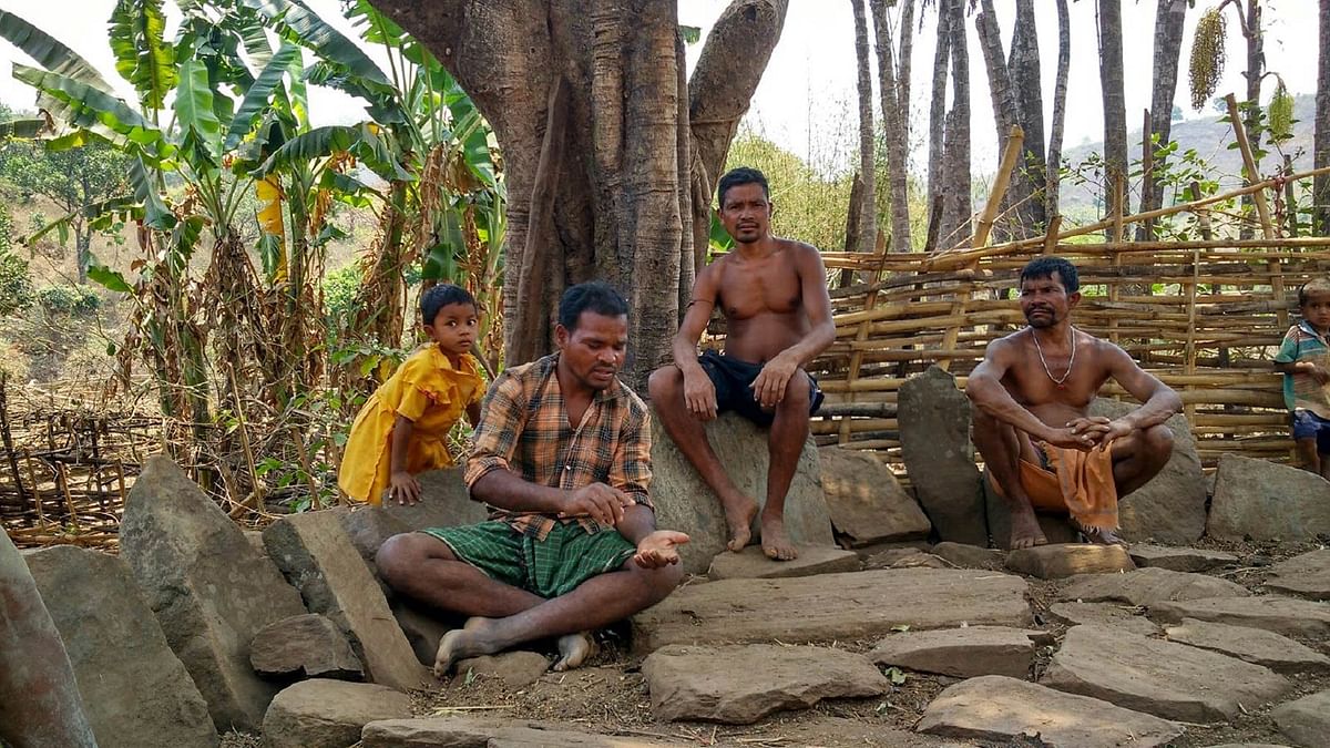 SC Orders Eviction of More Than 1 Million Tribals, Forest Dwellers
