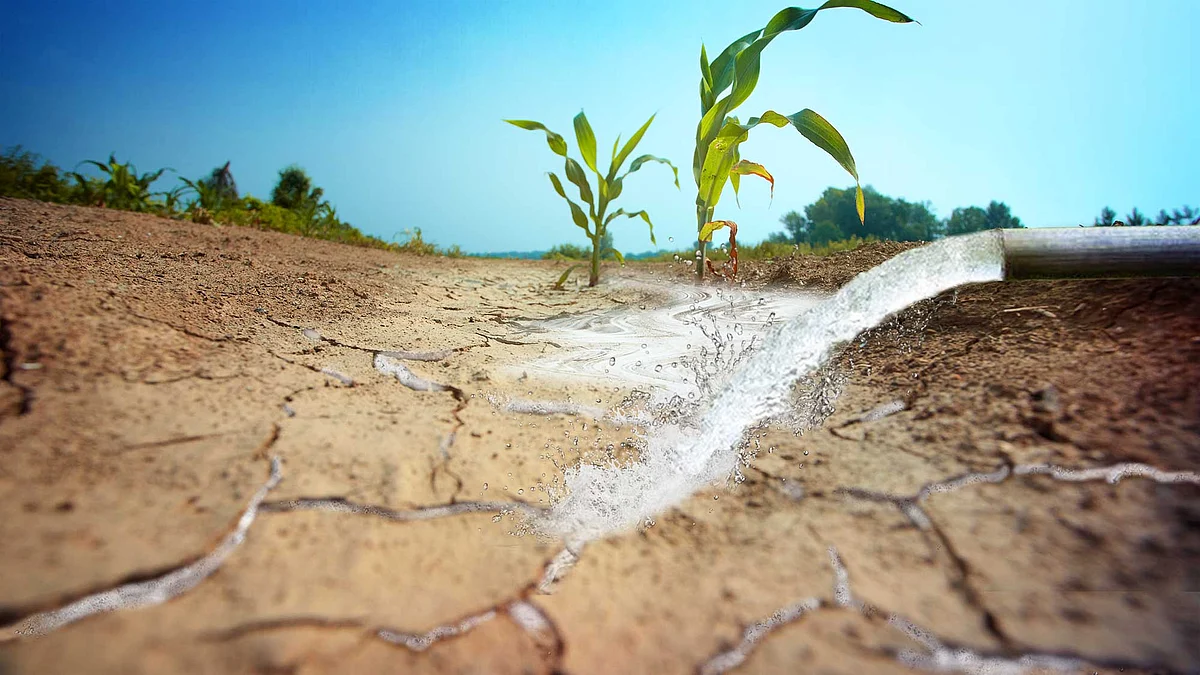 There is no drought yet in Bundelkhand, but the situation is alarming. (Photo: iStockphoto, altered by <b>The Quint</b>)