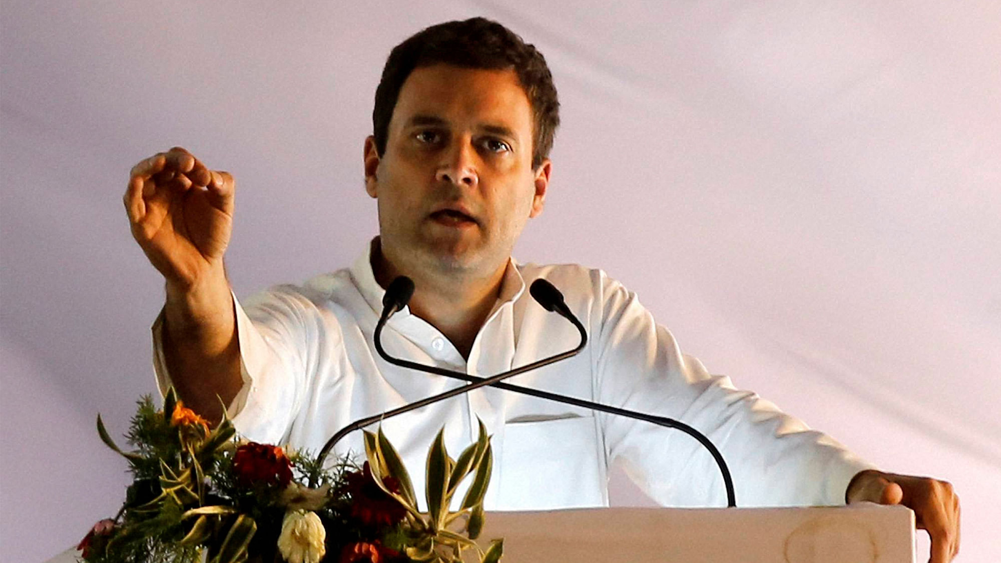 Congress Party Vice President Rahul Gandhi addresses a public meeting to mark culmination of 125th birth anniversary celebrations of Dr Ambedkar. (Photo: PTI)