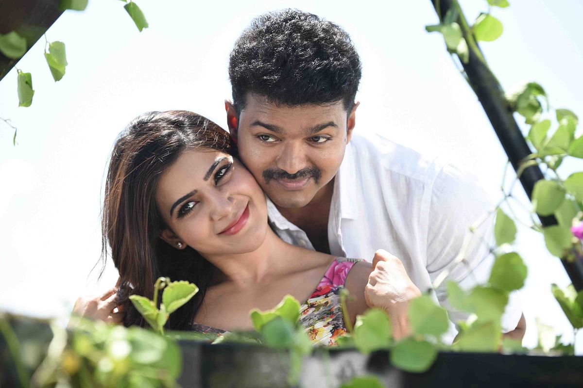 As Tamil star Vijay’s much awaited ‘Theri’ releases, here’s more about the film