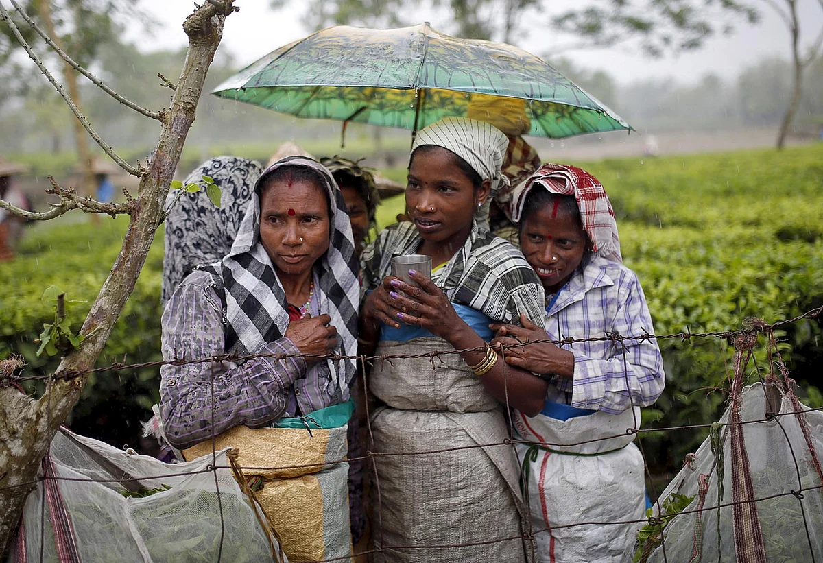 Tea garden workers huddle under an umbrella as they wait for the rain to stop to resume their work inside Aideobarie Tea Estate in Jorhat, Assam. (Photo: Reuters)