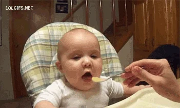 (GIF Courtesy: giphy.com)