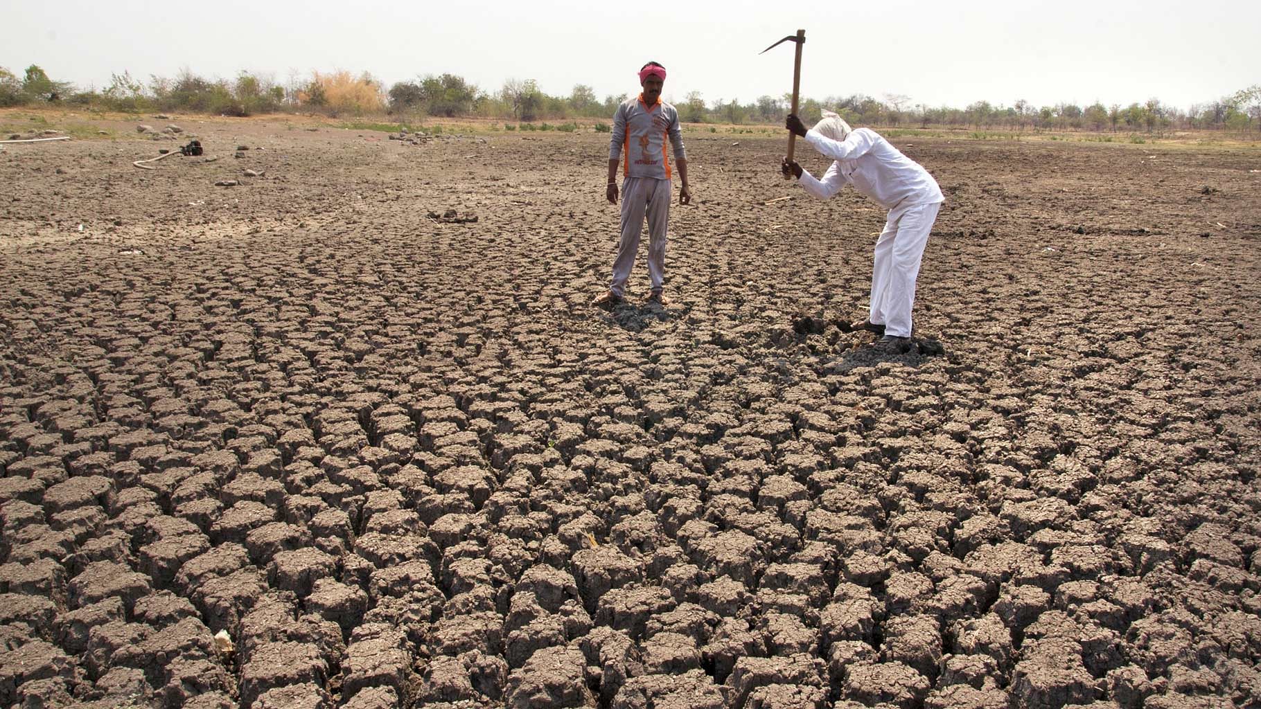 Khomnal Village pond at Mangalwheda taluka, Solapur district which usually has water around the year. However, in March 2016, the pond is completely dry. (Photo Courtesy: Subrata Biswas/Greenpeace)