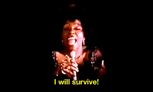 (GIF Courtesy: giphy.com)