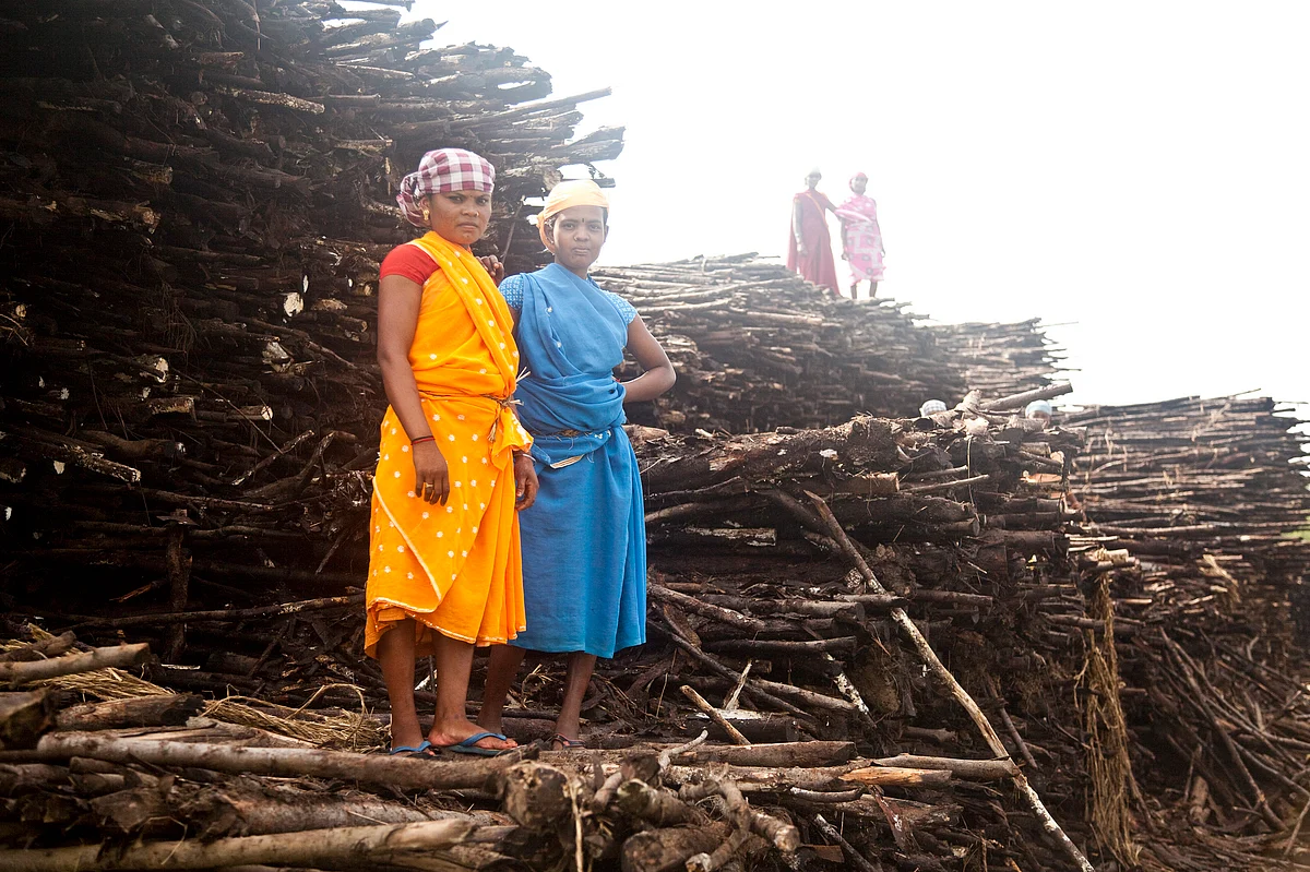 Workers at paper mill factory in Koraput, India. Image for representation purposes only. (Photo Courtesy: Alan Whelan/Trócaire.)