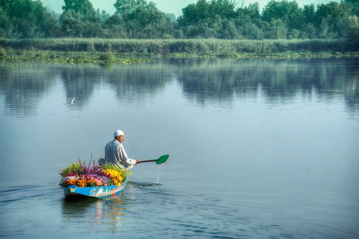 Wetlands in Kashmir are shrinking, and it could lead to devastating floods. 