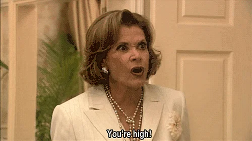(GIF Courtesy: giphy.com)