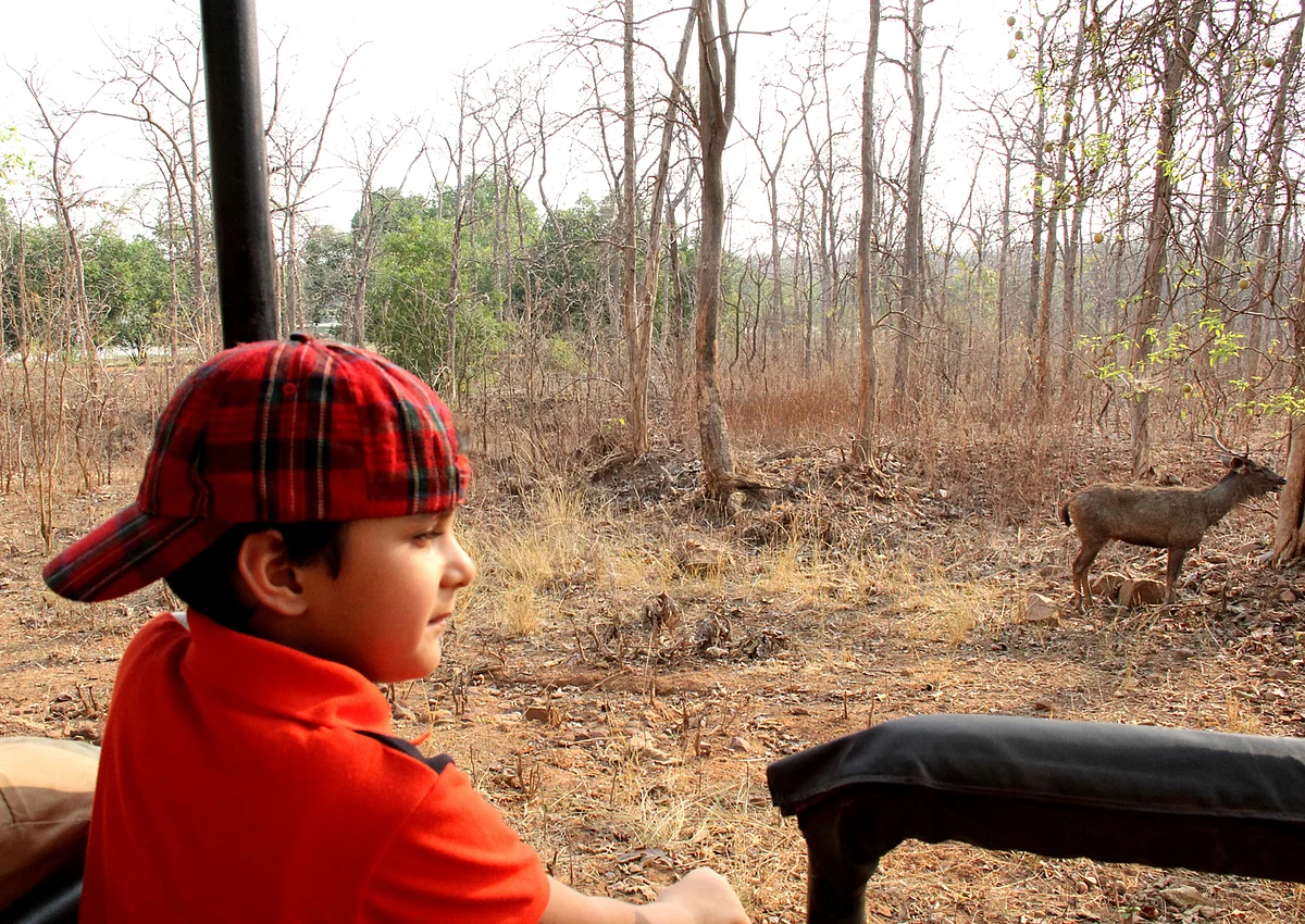 Kazuo at his first forest safari in Tadoba. (Photo Courtesy: Sahar Zaman) 