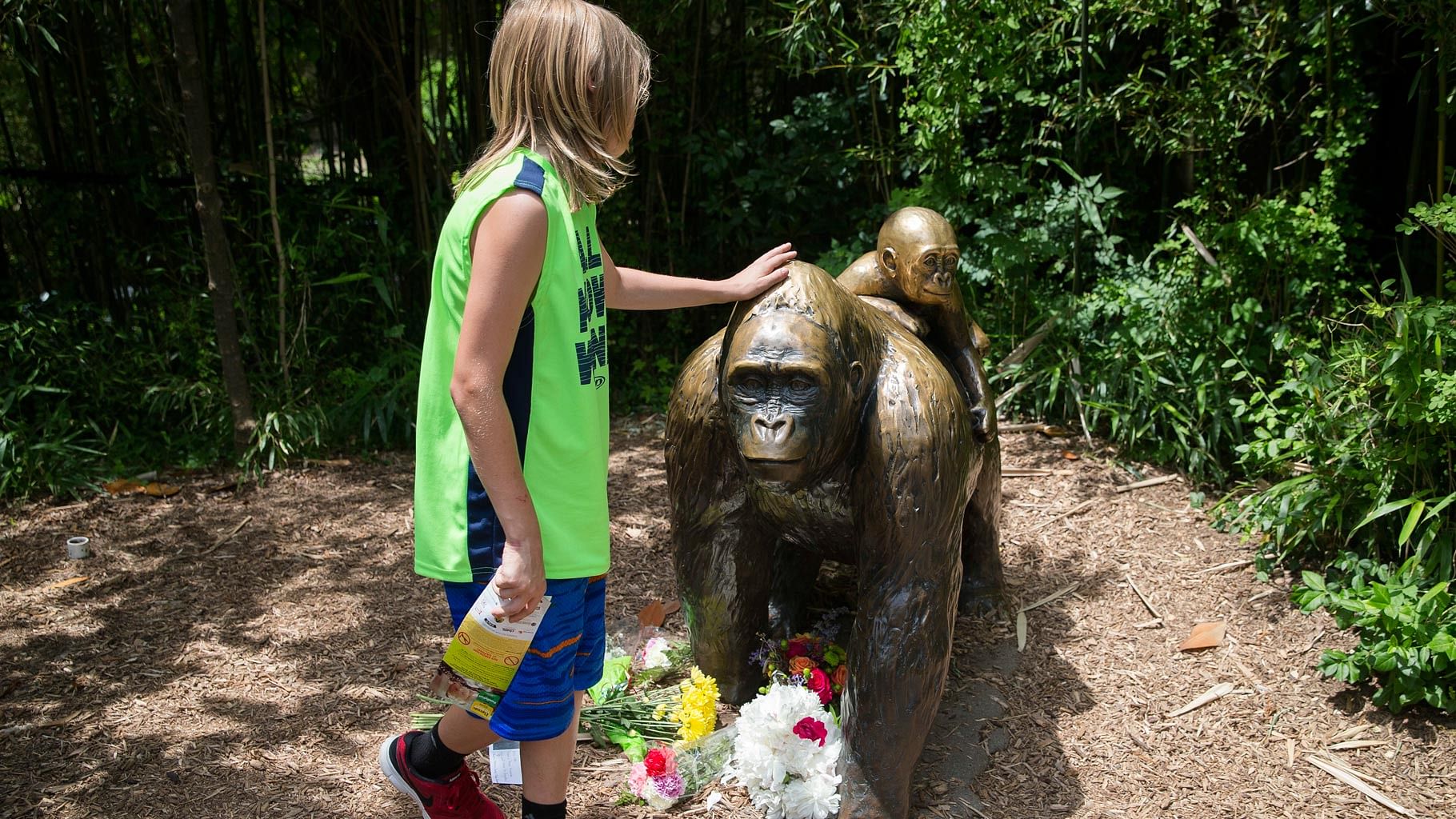 A child touches the head of a gorilla statue where flowers have been placed outside the Gorilla World exhibit at the Cincinnati Zoo &amp; Botanical Garden on 29 May 2016. (Photo: AP)