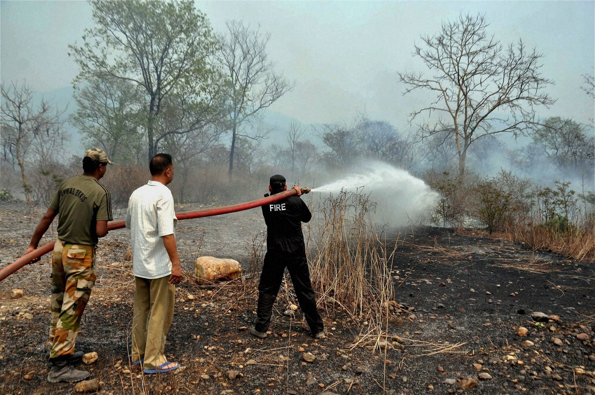 After Uttarakhand, Forest Fire Now Rages In Himachal And J&K