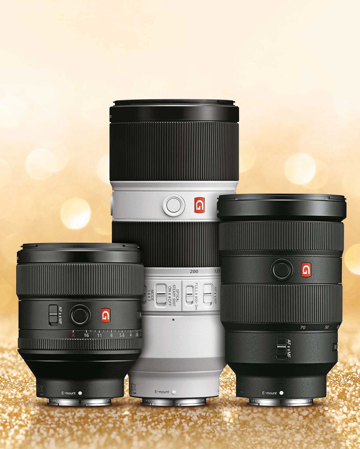 The new G Master brand includes three new E-mount full-frame lenses for professional photographers in India. 