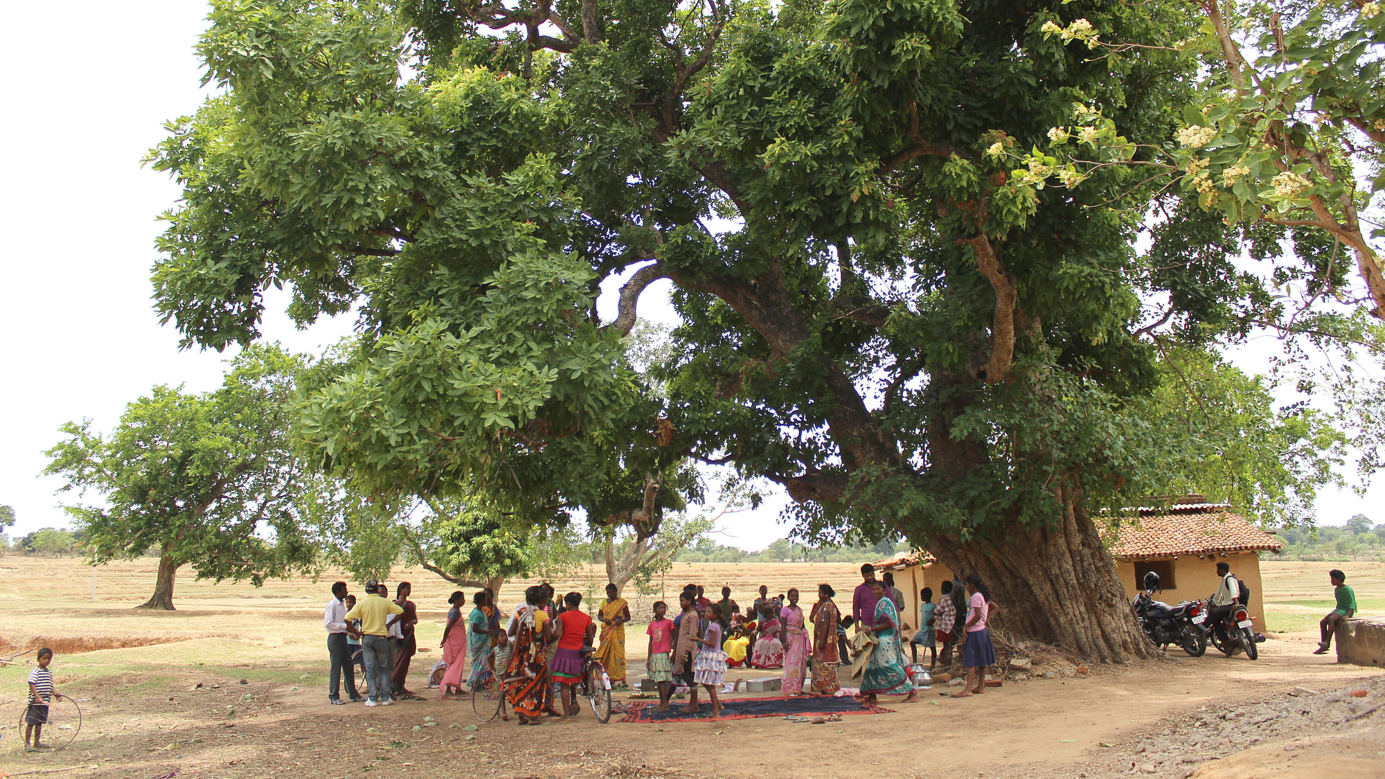 Agriculturalists gather beneath a tree not far from Ranchi, Jharkhand. (Photo: Manon Verchot)