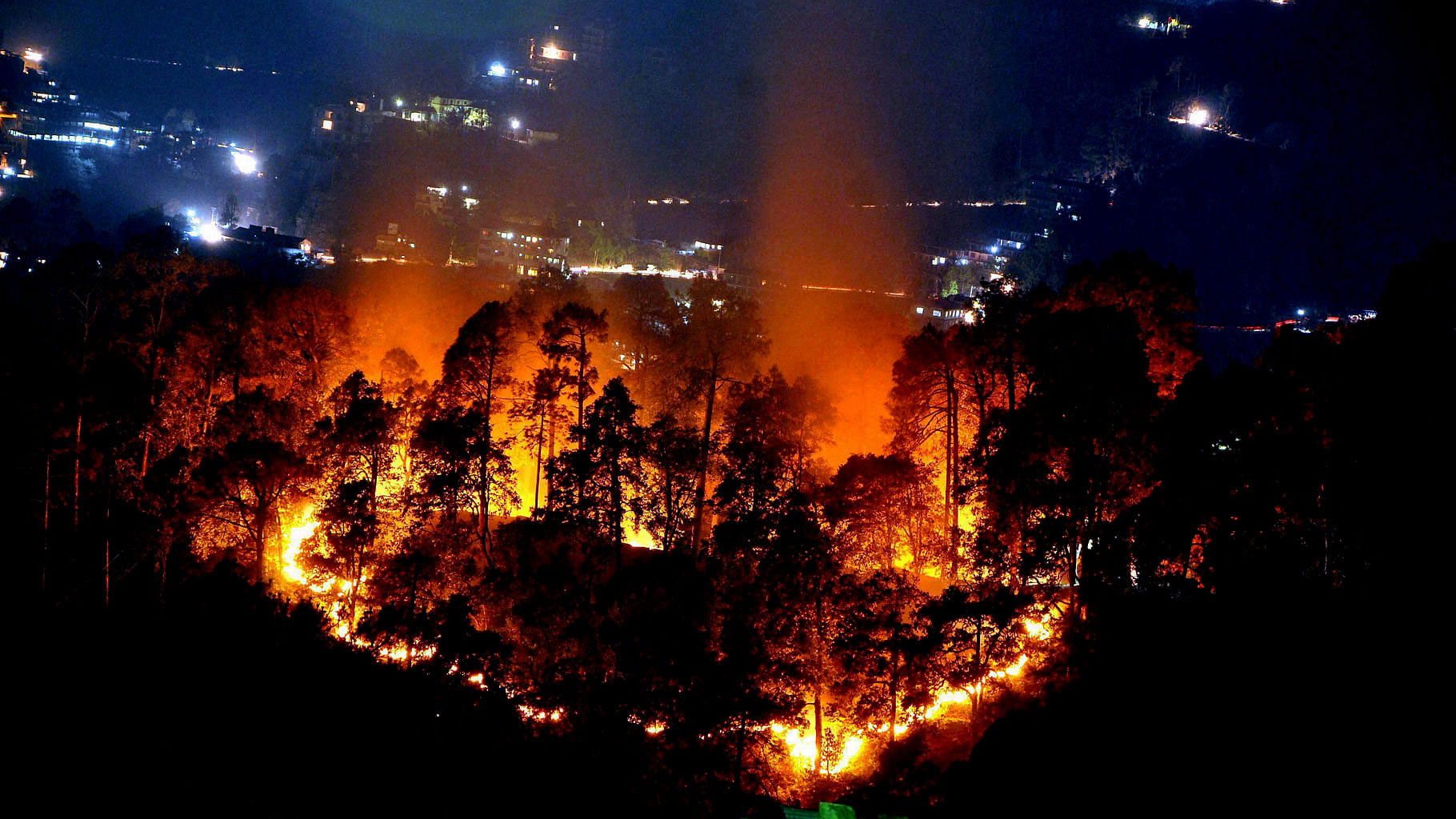 A forest is seen on fire near Shimla, earlier this week. (Photo: PTI)
