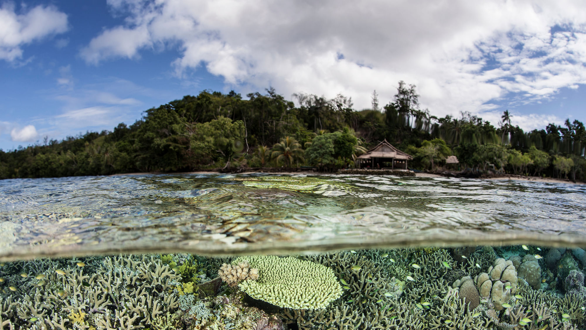 Islands in the Pacific are rapidly disappearing underwater. (Photo: iStockphoto)