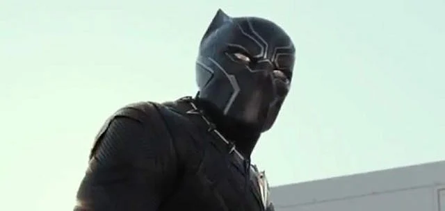 Chadwick Boseman (Photo: Disney India)