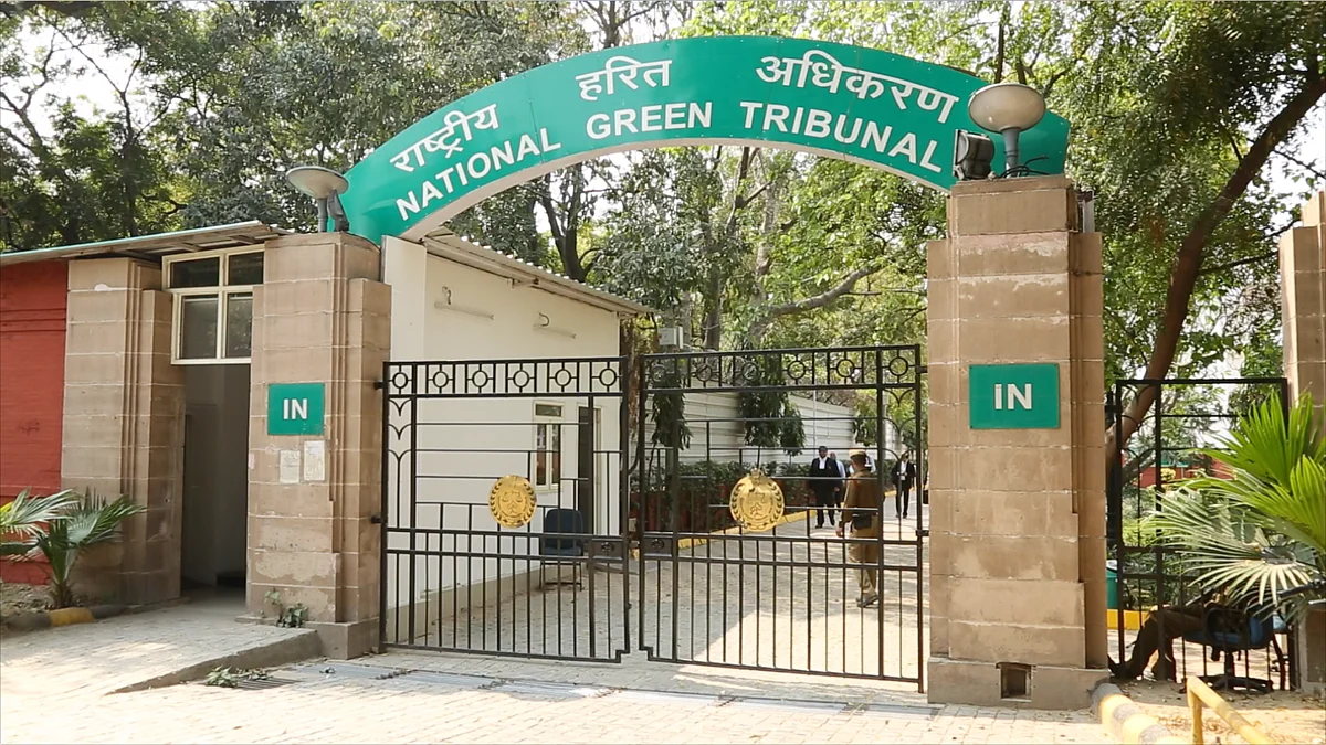 The National Green Tribunal has become a bit of a second home to me as I’ve followed your case. (Photo: Sanjoy Deb)